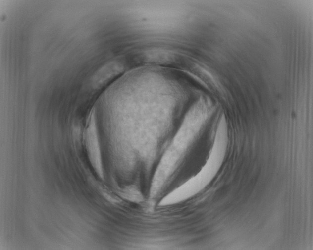 X0000088380333200706191314