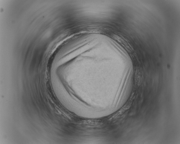 X0000088380338200706191313