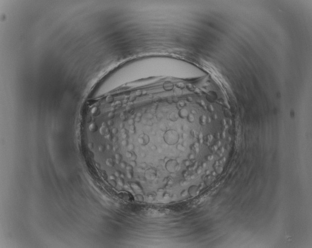 X0000088380346200706191313