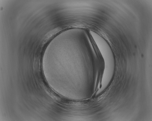 X0000088380349200706191313