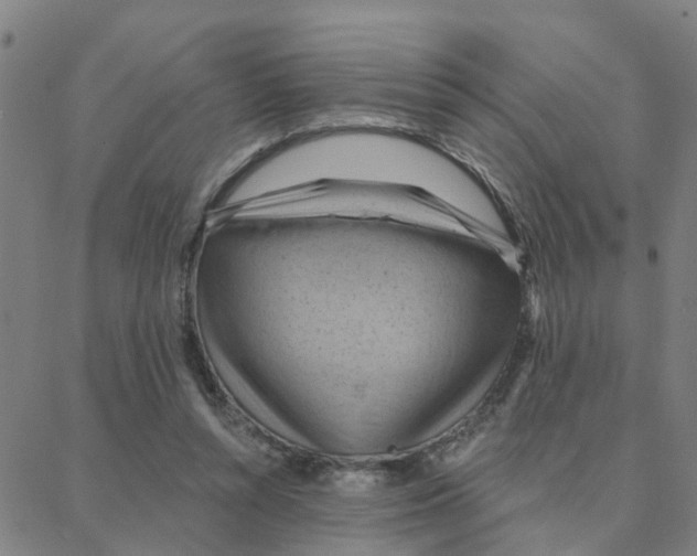 X0000088380352200706191313