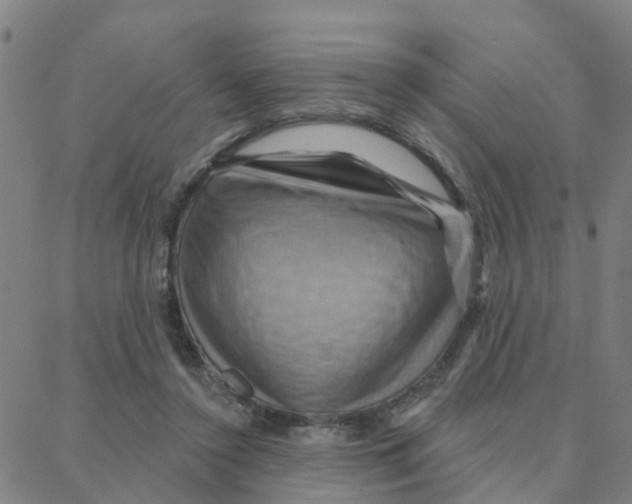 X0000088380356200706191313