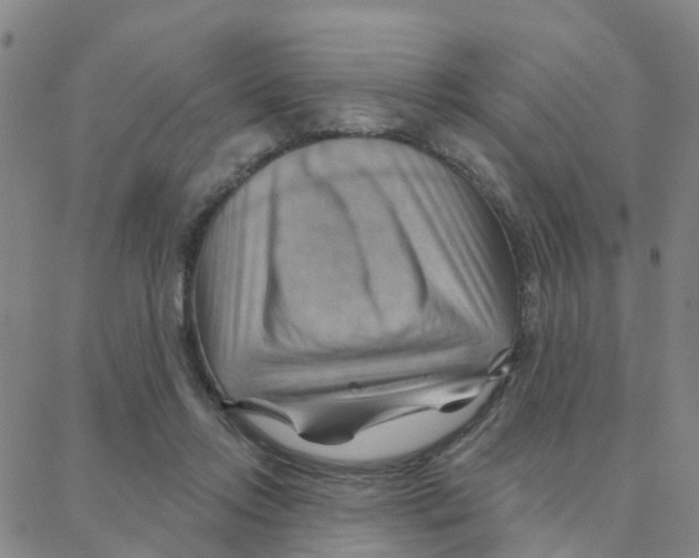 X0000088380358200706191313