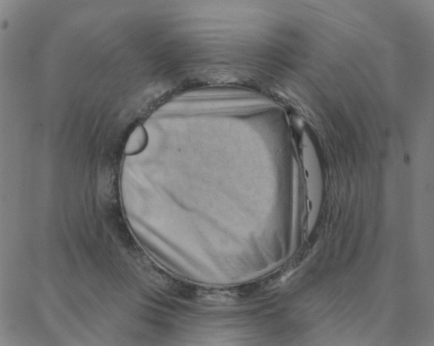 X0000088380359200706191313