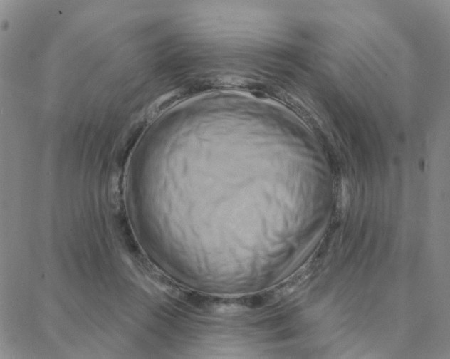 X0000088380360200706191313