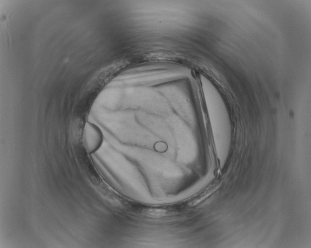 X0000088380361200706191313