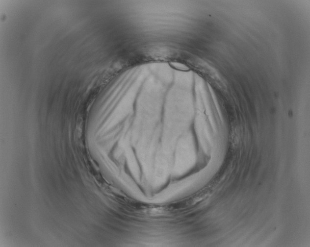 X0000088380365200706191314