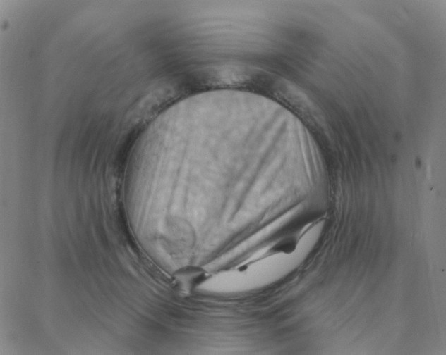 X0000088380366200706191314