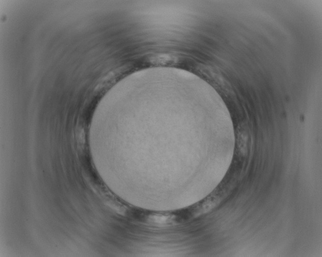X0000088380375200706191314