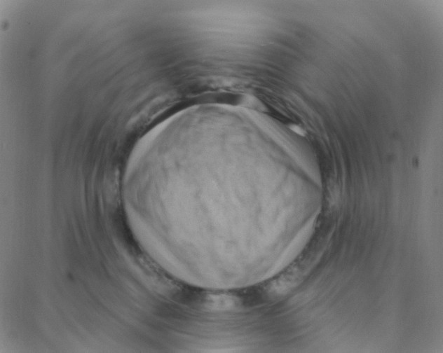 X0000088380376200706191314