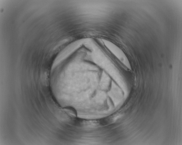 X0000088380378200706191314