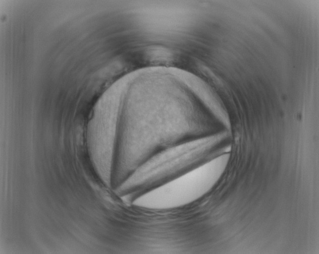 X0000088380379200706191314