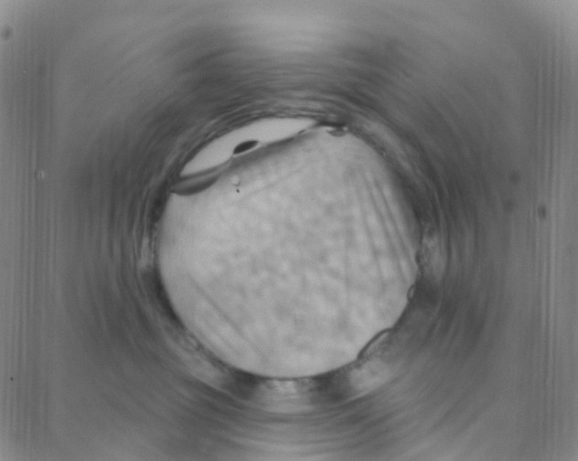 X0000088380381200706191314