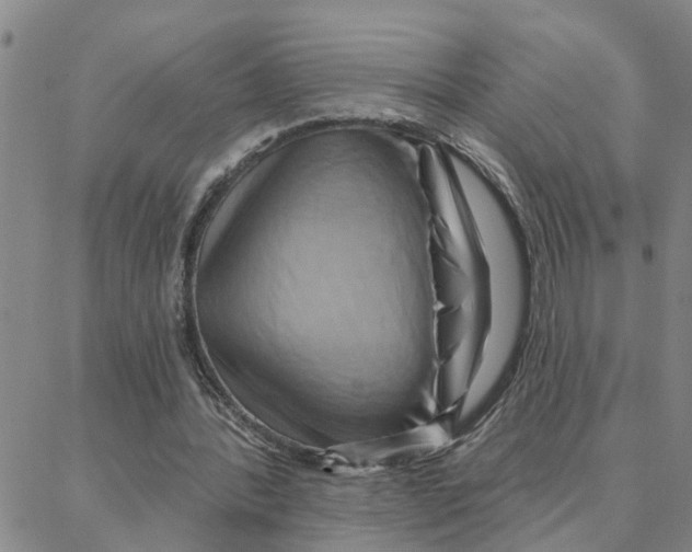 X0000088380388200706191313