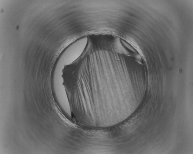 X0000088380389200706191313