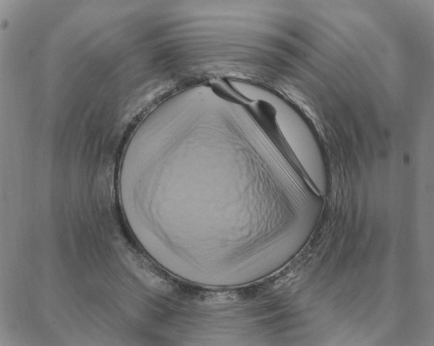 X0000088380398200706191313
