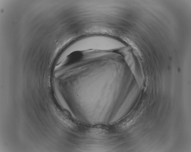 X0000088380399200706191313