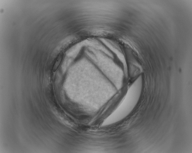 X0000088380407200706191313