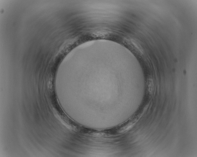 X0000088380408200706191313