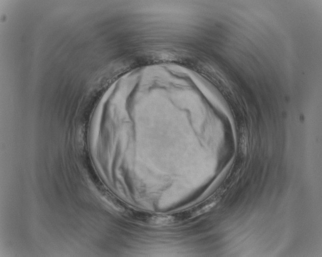 X0000088380410200706191313