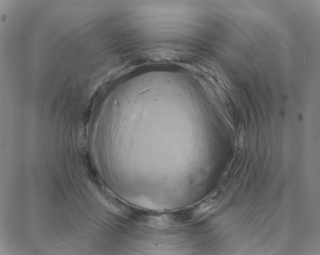 X0000088380411200706191313