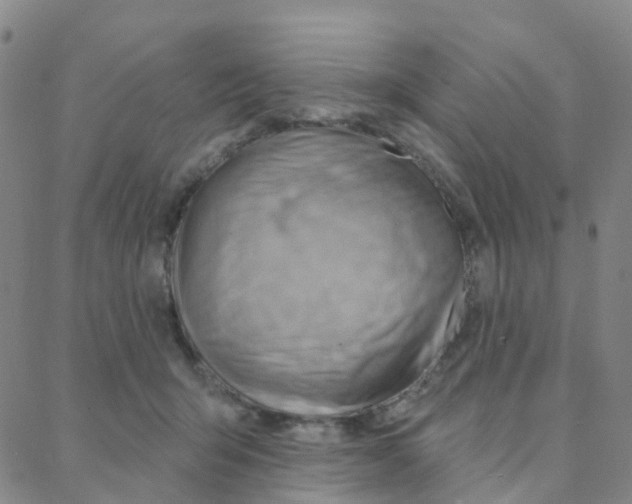 X0000088380415200706191313