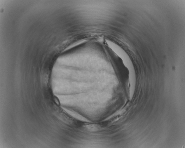 X0000088380417200706191313