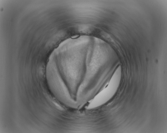 X0000088380424200706191312
