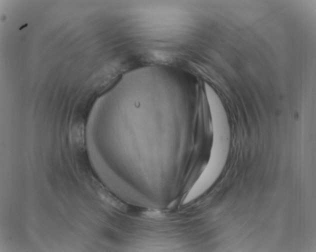 X0000088380425200706191312