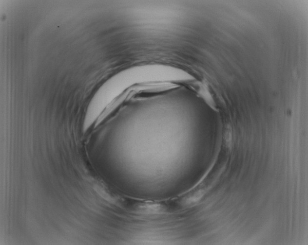 X0000088380428200706191312