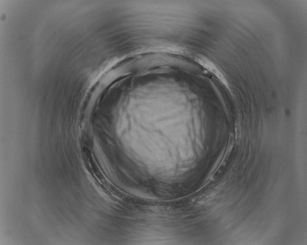 X0000088380436200706191312