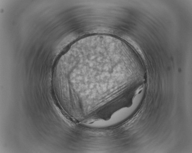X0000088380437200706191312