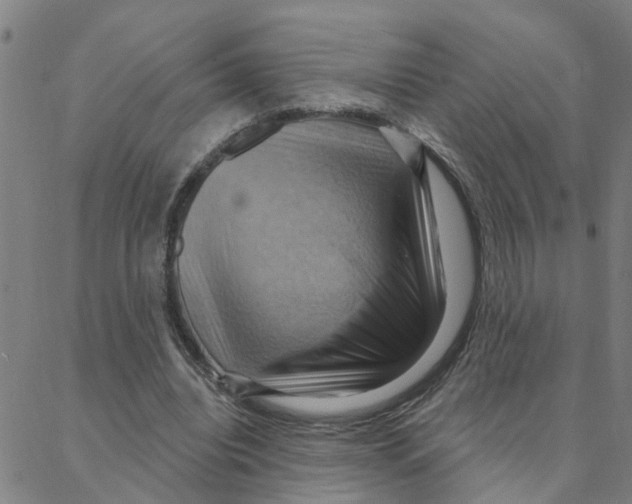 X0000088380440200706191312