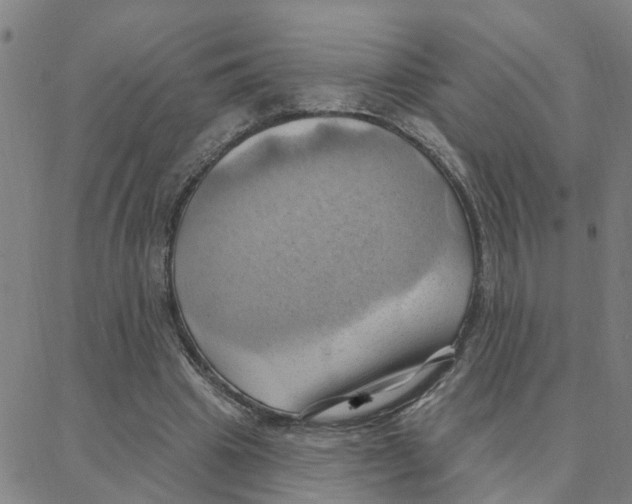X0000088380441200706191312
