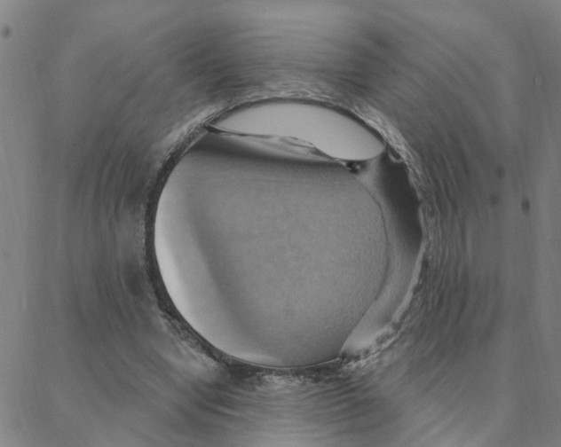X0000088380442200706191312
