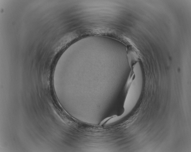 X0000088380443200706191312
