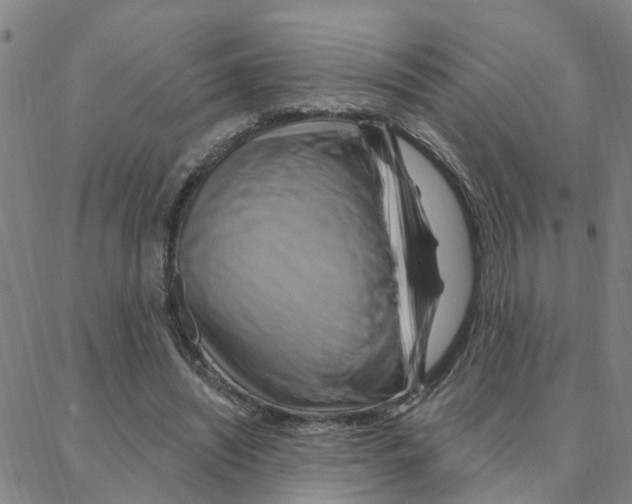 X0000088380444200706191312