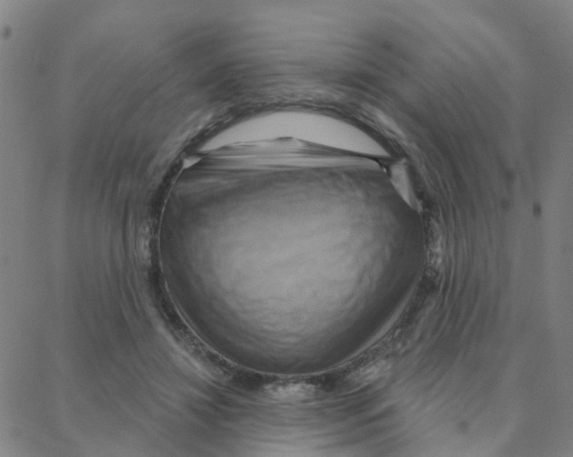 X0000088380452200706191312