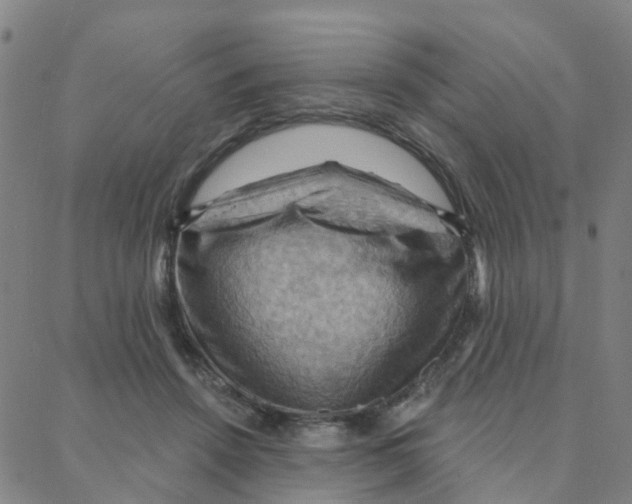 X0000088380456200706191312