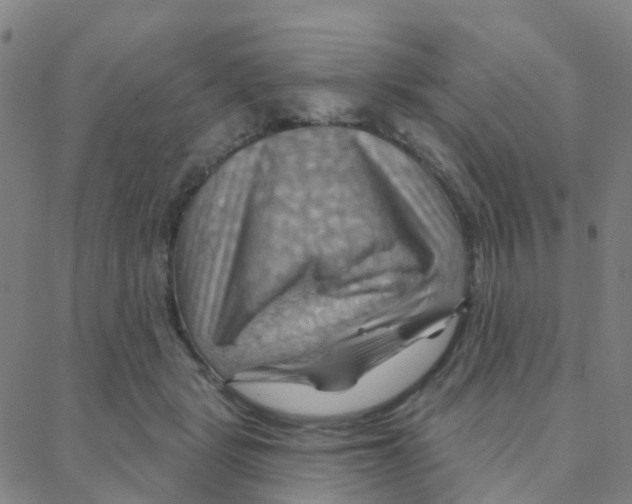 X0000088380461200706191312