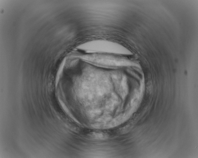 X0000088380464200706191312