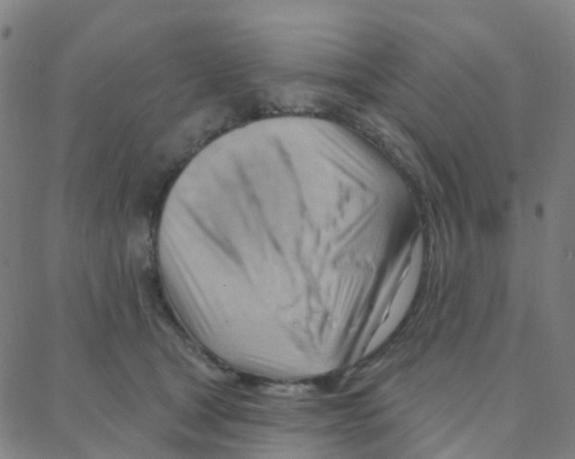 X0000088380465200706191312