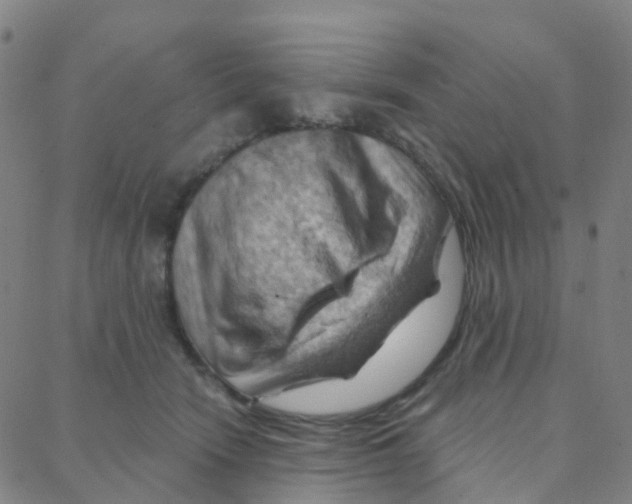 X0000088380466200706191312