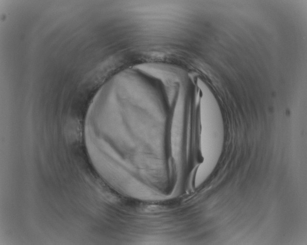 X0000088380467200706191312