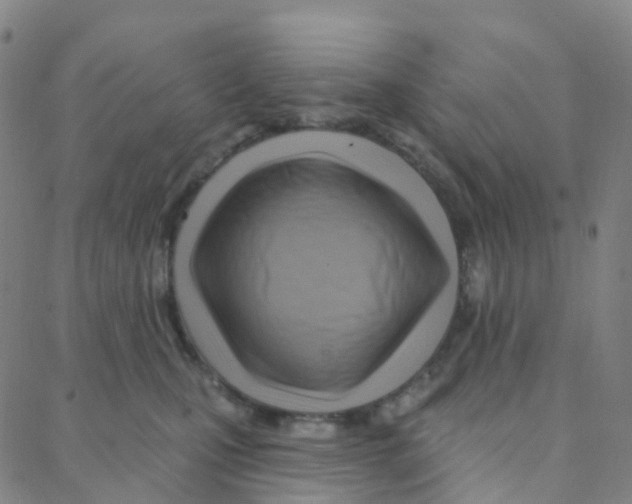 X0000088380471200706191312