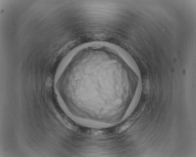 X0000088380472200706191312