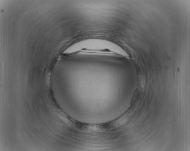 X0000088380475200706191312