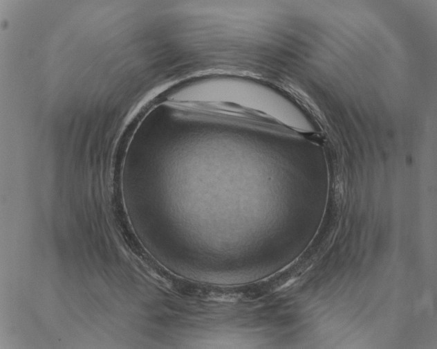 X0000088380484200706191311