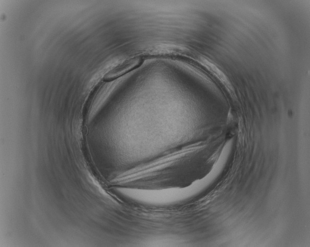 X0000088380485200706191311