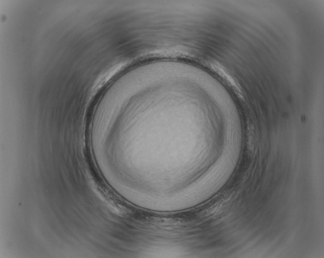 X0000088380486200706191311